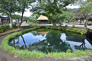 いけ(ike) : pond